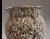 Peace River Barnacle-Encrusted Vessel With Faux Vintage Japanese Black Pearl, 19 In. Takotsubo Style For Sale - Image 9 of 9