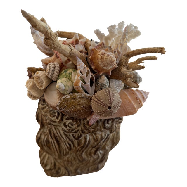 Mediterranean Celestial Meets the Sea-Shell Encrusted Bust-Coastal Art Sculpture For Sale - Image 3 of 11