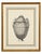 Paper Set of Six Neoclassical Style Etchings After Carlo Antonini. Italy, 20th Century For Sale - Image 7 of 11