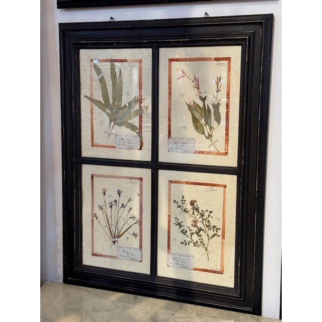 Paper Set of 8 French Vintage Botanical Prints For Sale - Image 7 of 10