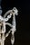 Antique French Chandelier in Crystal, 1800s For Sale - Image 6 of 16