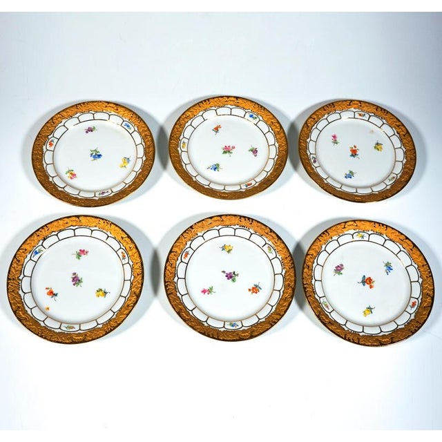Blue X-Form Mocha Service for 6 in Gilt Bronze with Scattered Flowers from Meissen, 1980s, Set of 21 For Sale - Image 8 of 10