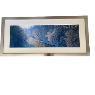 “Early Frost” Contemporary Winter Landscape Limited Edition Photograph Print by Peter Lik, Framed For Sale