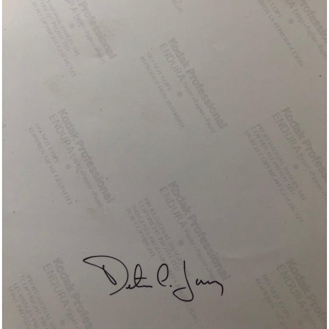 American Peter C. Jones 1, Dart Machine Oil Can Large Format Photo 24X20 Color Photograph Beach House, RI, 2005 For Sale - Image 3 of 5