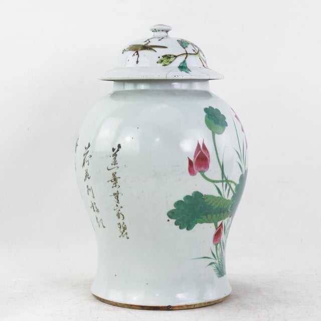 Antique Chinese Famille Rose Porcelain Ginger Jar With Lotus Pond and Water Lily Motif For Sale In New York - Image 6 of 17