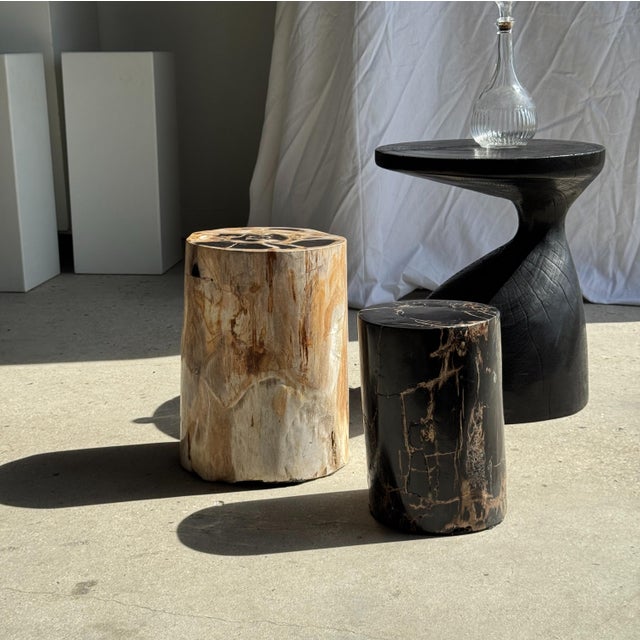 Beige Petrified Wood Side Table For Sale - Image 8 of 18