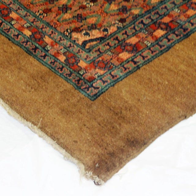 1900 - 1909 Early 20th Century Antique Bakhshaish Rug - 4′7″ × 20′ For Sale - Image 5 of 6