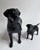 Black Two British Beswick Black Labrador Dog Porcelain Figurines, C. 1960 For Sale - Image 8 of 17