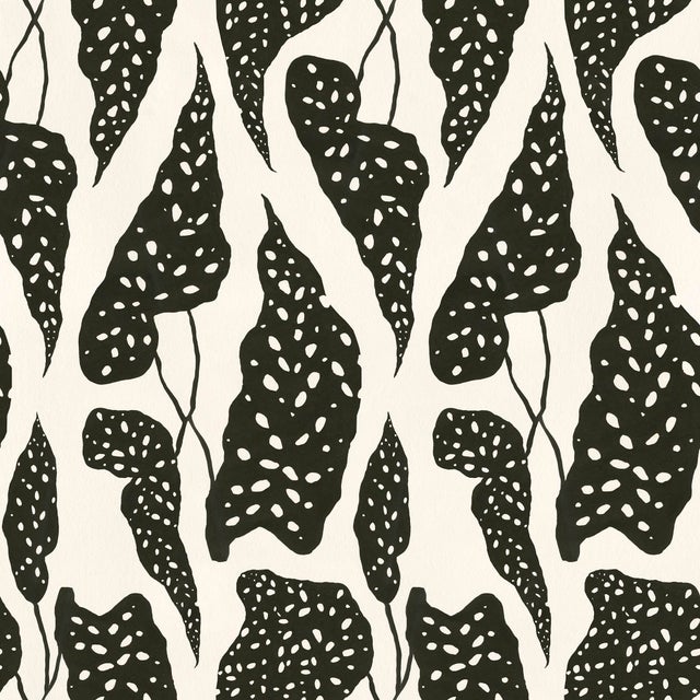 Contemporary Begonia Wallpaper by Susan Hable in Black on Cream For Sale - Image 3 of 3