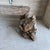 Stone Primitive Mesquite Wood and Stone Bench Curated by Ambianic For Sale - Image 7 of 7