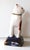 Mid 20th Century Staffordshire Style Vintage Hand Painted Fitz Cat Figurine For Sale - Image 5 of 6