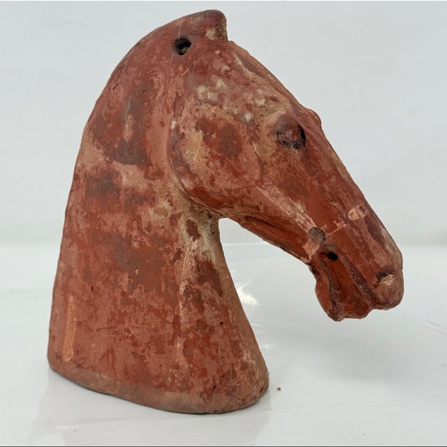 Han Dynasty Antique Chinese Pottery Horse Head Funerary Tomb Figure For Sale In Seattle - Image 6 of 10