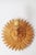 Hand-Crafted Pine Wood Starburst Sun Wall Lamps, Italy, 1980s, Set of 2 For Sale - Image 8 of 18