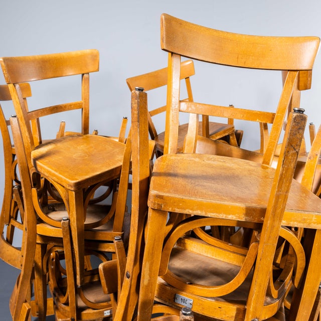 Honey Bentwood Dining Chairs from Baumann, 1950s, Set of 6 For Sale - Image 3 of 12