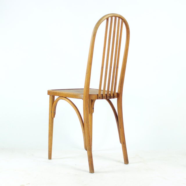 Oak Bentwood Chair by Michael Thonet, 1920s For Sale - Image 13 of 16