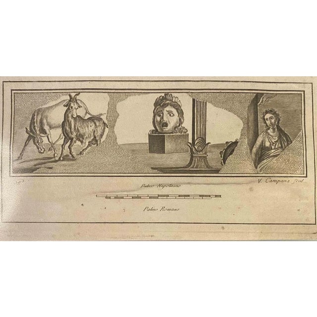 Vincenzo Campana, Ancient Roman Fresco, Etching, 18th Century For Sale