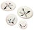 1950s Mid-Century Modern "Contempora" Dinner Service Metlox Poppy Trail - 84 Pieces For Sale - Image 9 of 16
