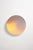Echo Concave Circle Mirror by Martens & Visser For Sale - Image 4 of 8