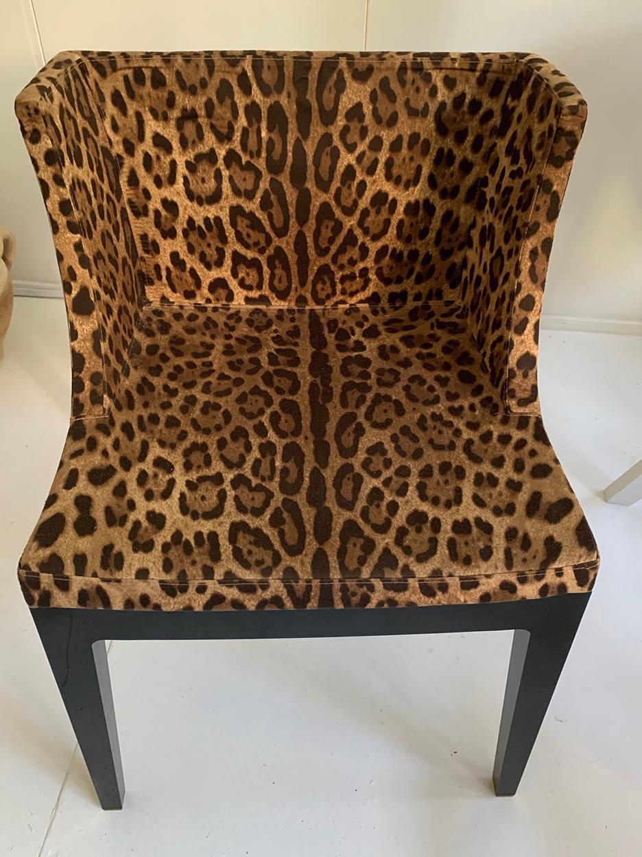 dolce gabbana mademoiselle