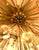 Metal Austrian Flower Snowflake Ceiling Lamp by Emil Stejnar for Rupert Nikoll, Vienna, Austria, 1950s For Sale - Image 7 of 18