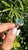 Set in 18k Gold, 2.14 Carats Natural Zambian Emerald & Diamonds Engagement Ring, Size 6 For Sale - Image 6 of 9