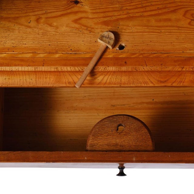 Hallway Cabinet from Gänsefurth Castle, Thuringia For Sale - Image 10 of 17