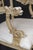 Set of 4 19th C. Italian Directoire Style Painted Dolphin Arm Dining Chairs For Sale - Image 12 of 15