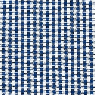 Sample - Schumacher Barnet Cotton Check Fabric in Navy For Sale