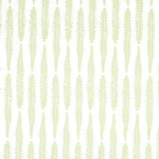 Schumacher X Molly Mahon Fern Fabric in Sage For Sale