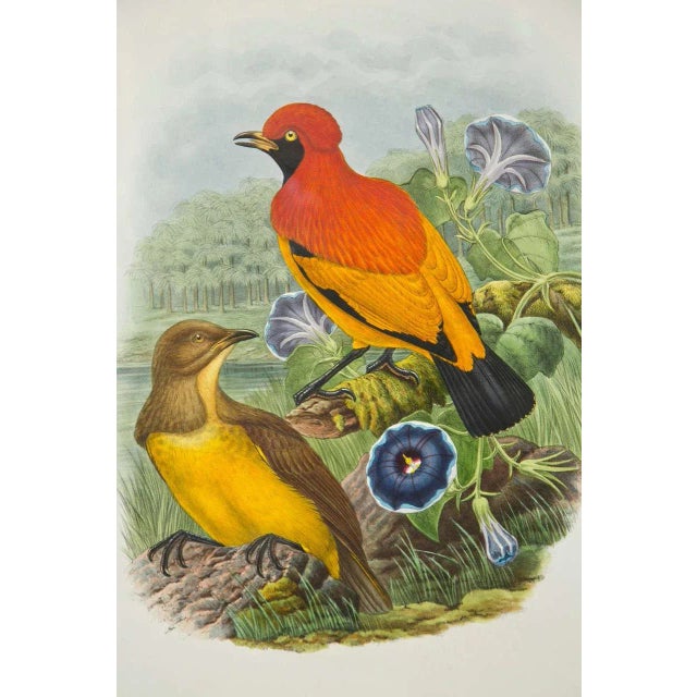 1920s Fine ly Framed Lithographs - a Pair For Sale - Image 4 of 9