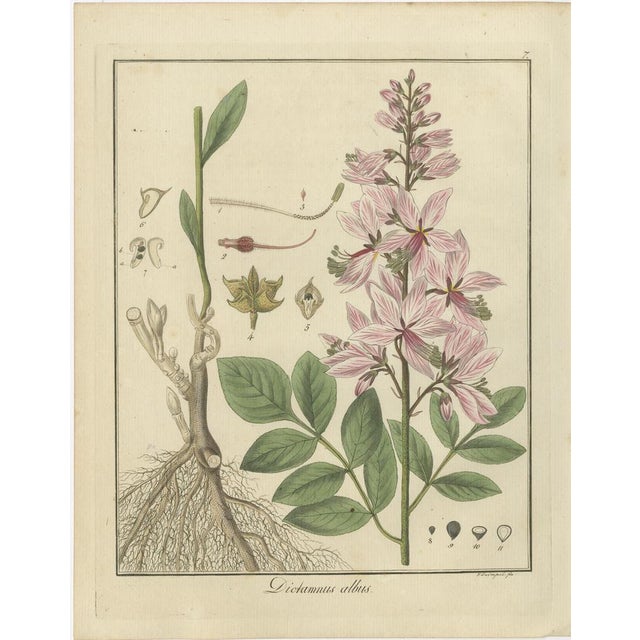 These illustrations were published in the 1819 sixth edition of "Getreue Darstellung und Beschreibung der in der...