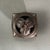 Early 20th Century Early 20th Century Botanical Style Incense Holder For Sale - Image 5 of 11