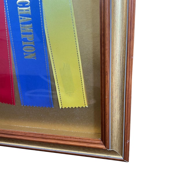 1990s Framed Missouri Horse Show Champion Rosettes, Equestrian Wall Art, 1992 For Sale - Image 5 of 17