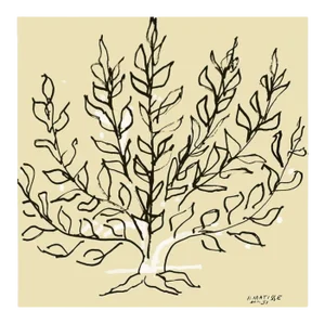 2019 After Henri Matisse Le Buisson Lithograph