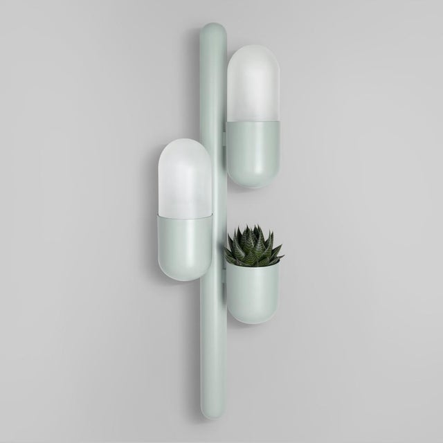 Cactus Wall Lamp by Creativemary For Sale - Image 15 of 18