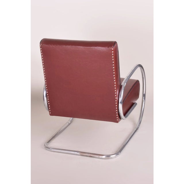 Bauhaus Burgundy Tubular Armchair, 1930s For Sale - Image 3 of 8