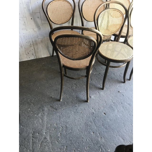 Dining Chairs in Wood Cane, Germany, 1960s, Set of 6 For Sale - Image 9 of 9