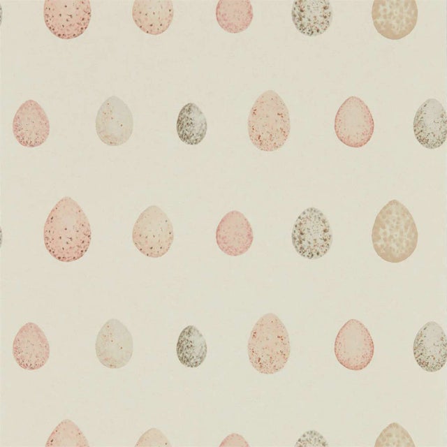 Sanderson Nest Egg Wallpaper in Blush pink - a Sample For Sale