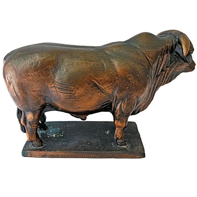 1969 Vintage Santa Gertrudis Breeders International Bronze Bull Trophy Statue For Sale In Dallas - Image 6 of 13