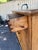 Mid 19th Century 19th Century English Pine Cupboard For Sale - Image 5 of 13