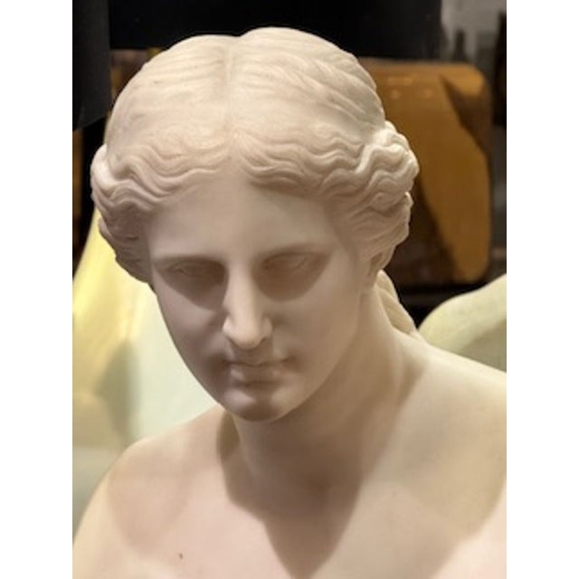 Traditional 19th Century French Carved Bust of Diana For Sale - Image 3 of 6