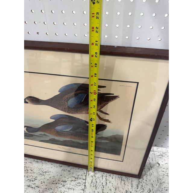 Paper Late 19th Century Blue Winged Teal by Robert Havell Plate Bird Framed 1836 For Sale - Image 7 of 7