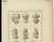 Paper After Carsten Niebuhr, Ottoman Turban Study, 18th Century, 1774 For Sale - Image 7 of 9