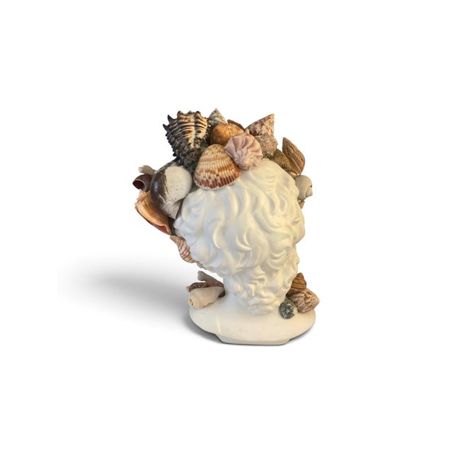 Grand Tour Style Shell-Encrusted Bust of David | Chairish