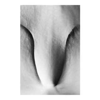 Original Photography by Cyrille Druart For Sale