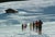 Skiers in Lech 1979 Skiers line up for a hike to ski resort Zurs from Lech, Austria, February 1979. Photo by Slim Aarons...