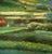 Textile Mid 20th Century Judd Gallet Landscape Oil Painting Canvas Impressionist Style Lush Garden Signed For Sale - Image 7 of 13