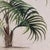 1960s Palm Trees, 1960s, Oil Painting on Canvas, Framed, Set of 2 For Sale - Image 5 of 7