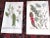 Weinmann Antique 18th Century Weinmann/Miller Hand Colored Folio Size Botanical Mezzotints - Set of 6 For Sale - Image 4 of 6