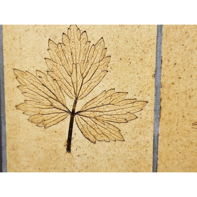 Herbier Coffee Table by Roger Capron, 1970s For Sale - Image 16 of 18
